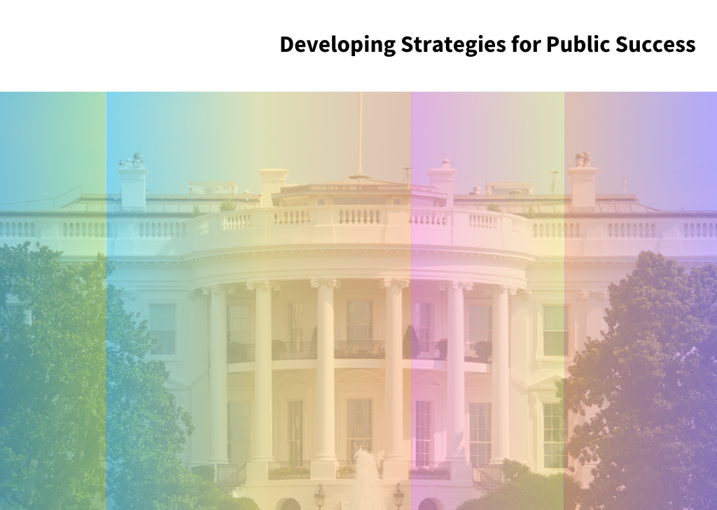 Developing Strategies for Public Success